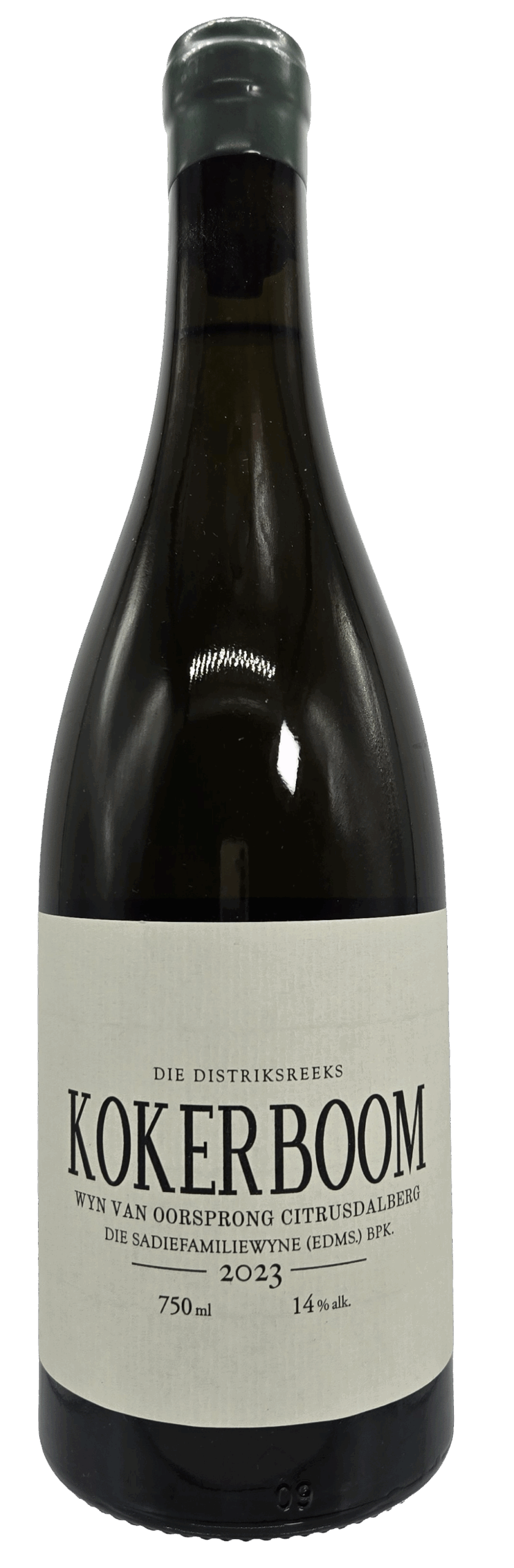 Sadie Familly / Kokerboom 2023 サディ・ファミリー / コカーブーン 2023